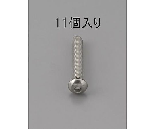 M6 x14mm 六角穴付鍋頭ﾎﾞﾙﾄ(ｽﾃﾝﾚｽ製/11本)