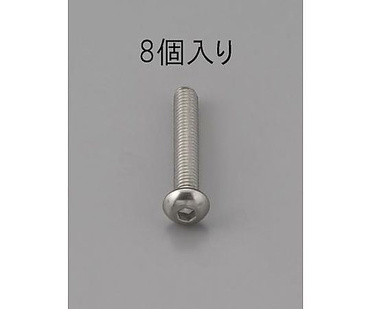 M6 x25mm 六角穴付鍋頭ﾎﾞﾙﾄ(ｽﾃﾝﾚｽ製/8本)
