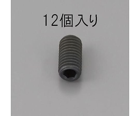 M6 x10mm 六角穴付止ねじ(ｸﾛﾒｰﾄ/12本)