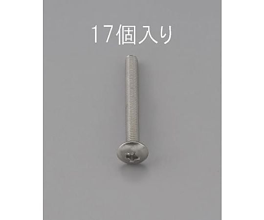 M2 x10mm トラス頭小ねじ(ｽﾃﾝﾚｽ製/17本)