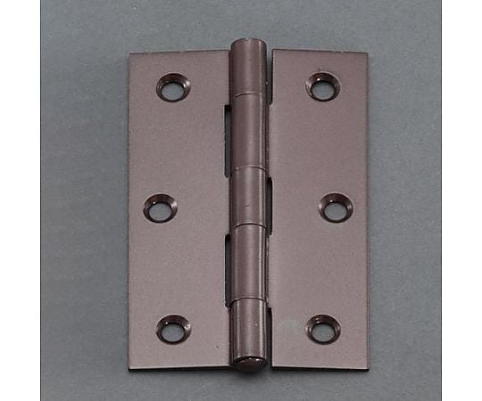 76x 49mm カラー丁番(ｽﾁｰﾙ製/2個)