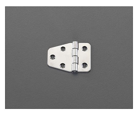 40 x 55 mm ヒンジ(ｽﾃﾝﾚｽ製/2個)