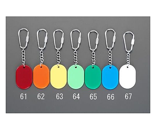 30x45mm カラーキーホルダー(若草)