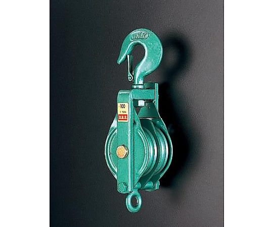 100mm 強力型滑車(2車)