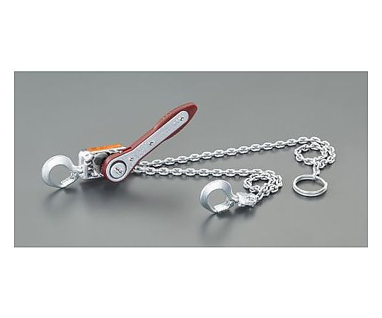 100kg レバーホイスト