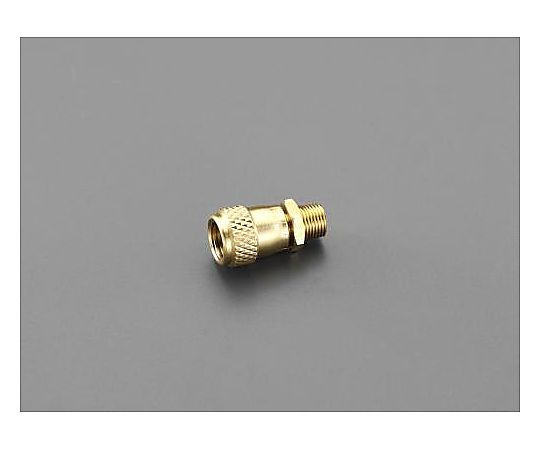 F1/4"xNPT1/8" アクセスバルブ