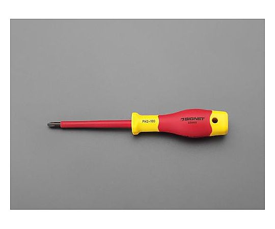 #2x100mm [+]ドライバー(絶縁)