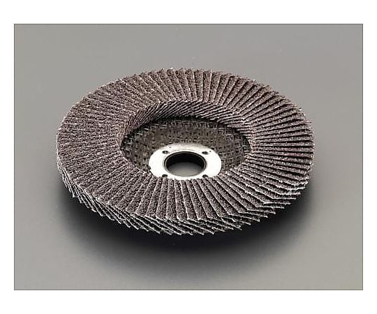 100x15mm/#60 ディスクホイール(5枚)