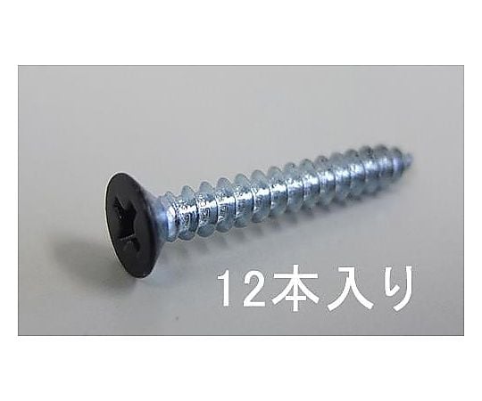3 x20mm アングル用ビス(ｽﾁｰﾙ黒/12本)