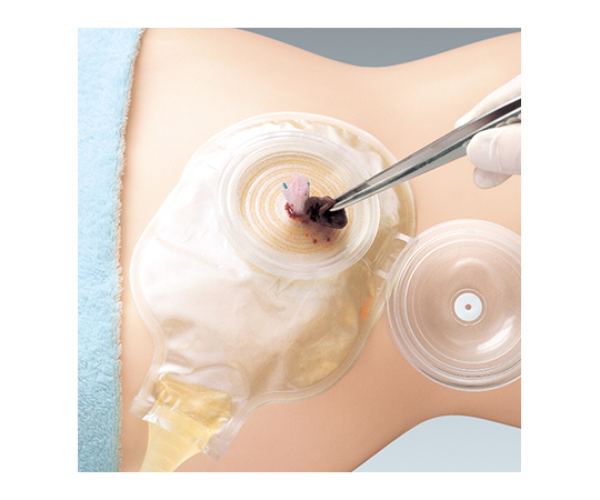 8-1133-05 サージドレーン・オープントップ LL 2枚 15684 【AXEL