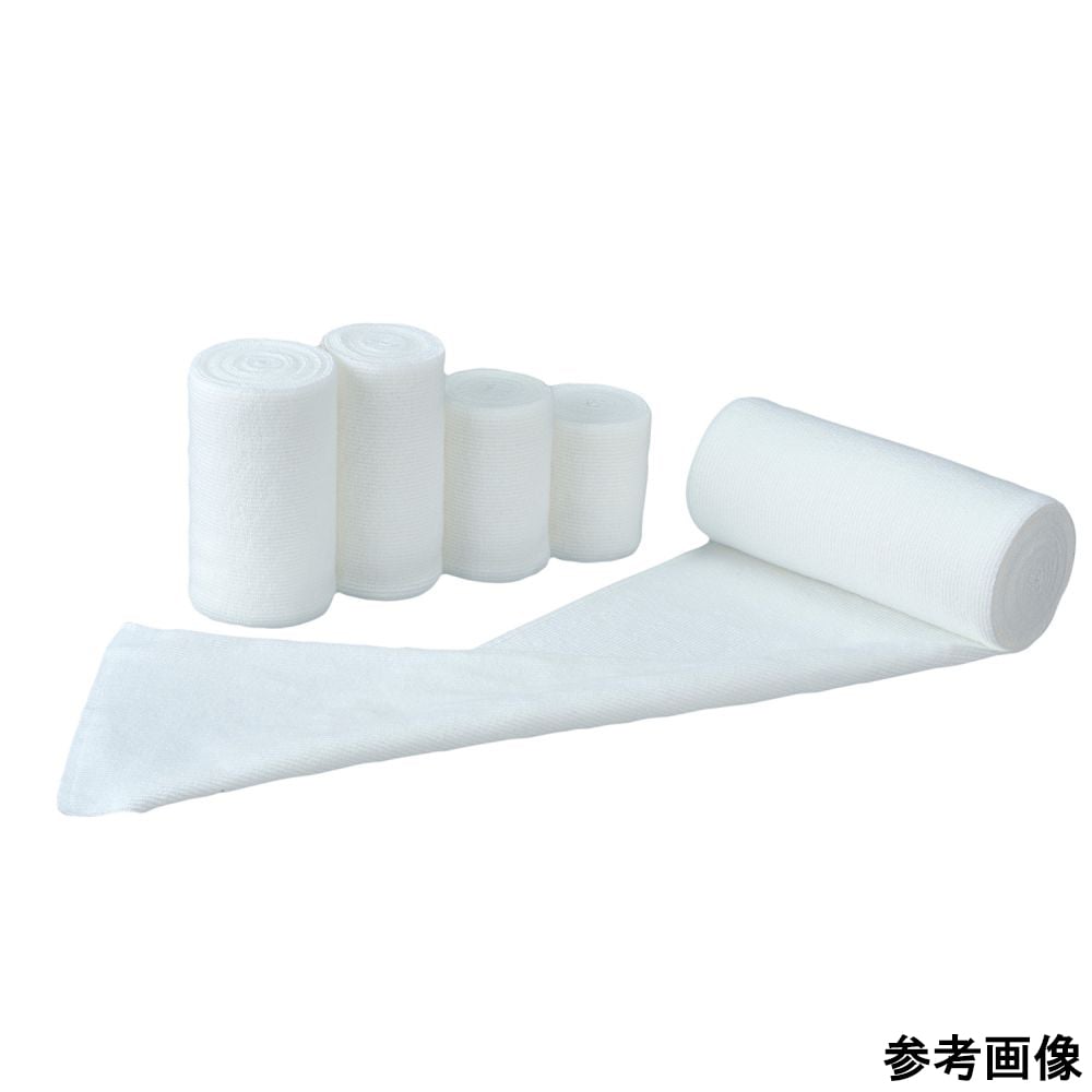 サポーテックス　3号　10巻