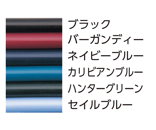 ［取扱停止］リットマン(TM)ステソスコープ [マスタークラシックⅡ] セイルブルー　2633