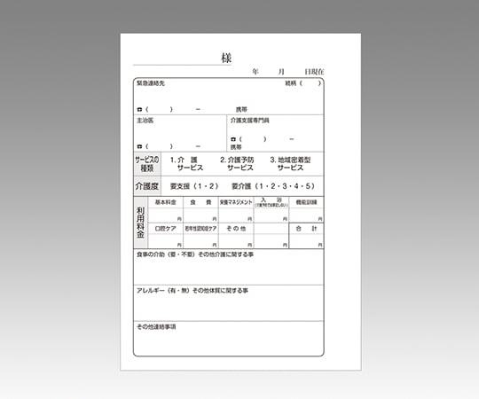 ［取扱停止］看護・介護記録用紙 デイ日誌「リズミィ」1　B03100