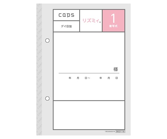 取扱を終了した商品です］看護・介護記録用紙 リズミィ1 デイ日誌 B6
