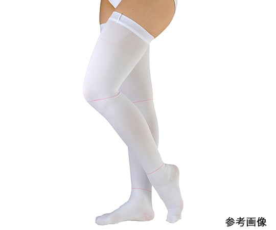 アンシルク®・プロJ　ストッキング　両足　LL