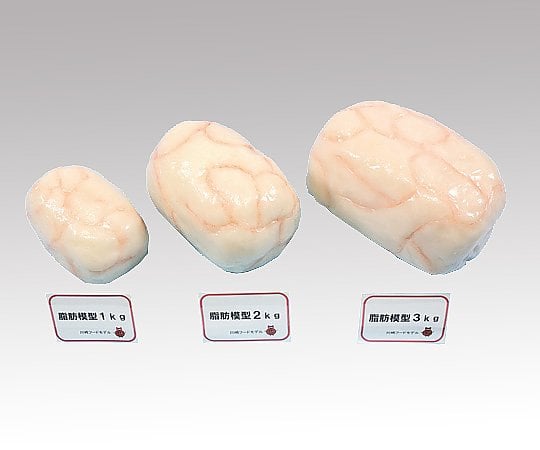 取扱を終了した商品です］8-3742-04 脂肪模型 (500g) KF-1600 【AXEL
