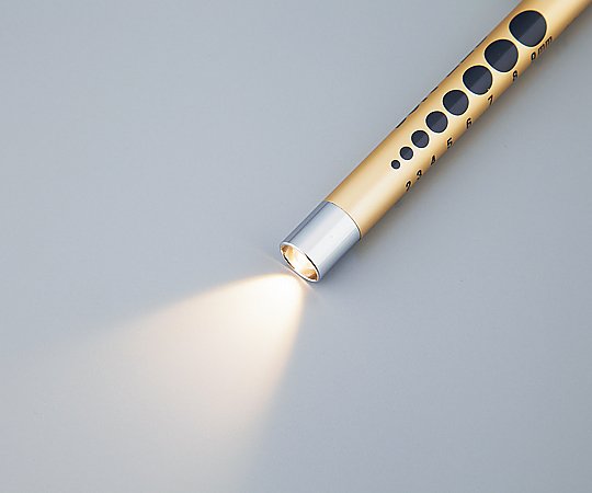 取扱を終了した商品です］ソフトLEDペンライト［2Wayスイッチ