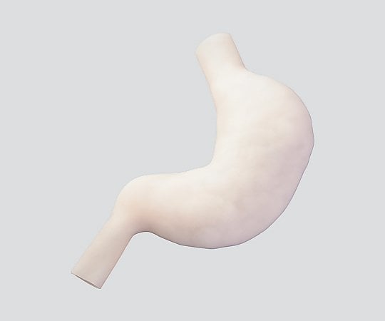 訓練用モデル（ナビトレ） 胃縫合モデル 立体