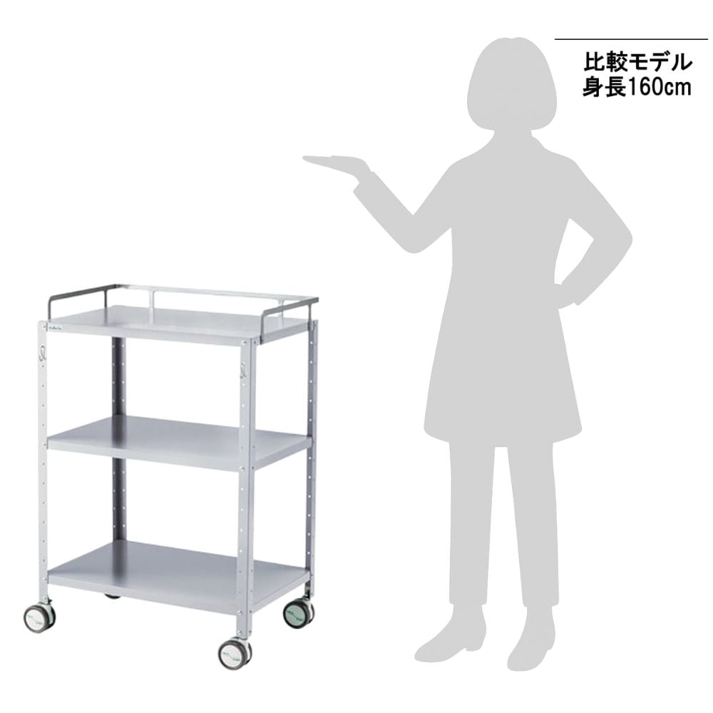 8-6989-14 カラフルステンワゴン（フック付き） ラージ シルバー（塗装