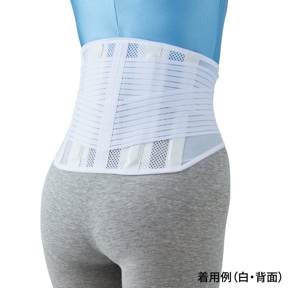 楽らく腰ガード［ソルボ］ レギュラー 2L 白