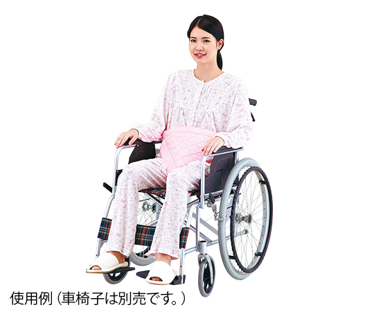 8-7576-01　車椅子用ソフト安全ベルト[個](as1-8-7576-01)