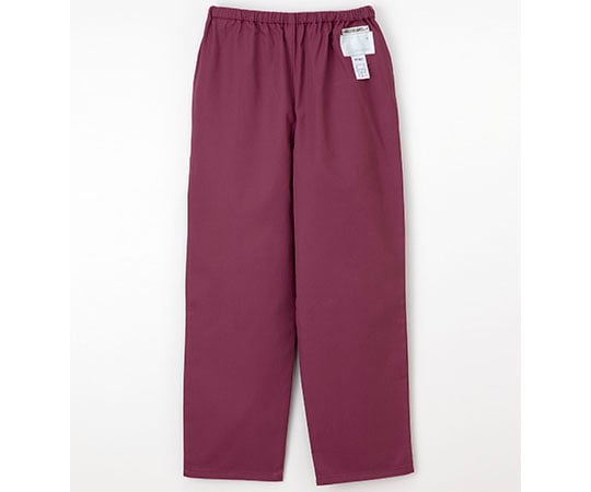 8-8806-04 手術衣（女子スラックス） バーガンディ LL NR8623 【AXEL