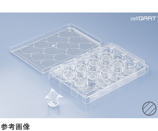 JACQUES HITIER 図録 検 ガスコアン ピエールガーリッシュ KO ブラザーズ チョーク – Kevin's Billiards