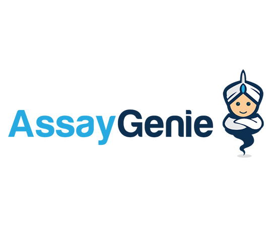 ALDH5A1 Rabbit Polyclonal Antibody CAB16074シリーズ Assay Genie 【AXEL】 アズワン