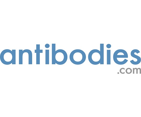 84-0729-05 Anti-CNTN2 Antibody 50ug A97613-50 【AXEL】 アズワン