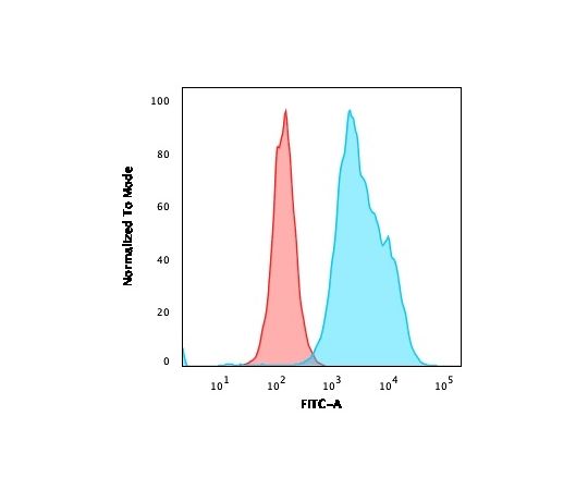 CD20/ MS4A1 (B-Cell Marker) 100ug