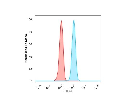 85-1332-91 ZNF562 （Transcription Regulator） 100ug 54811-MSM1