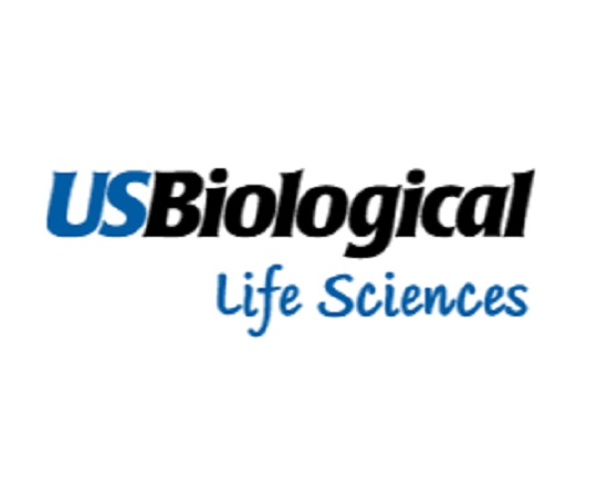 85-1925-71 Cholecystokinin A Receptor (CCKAR) BioAssay™ ECL ELISA