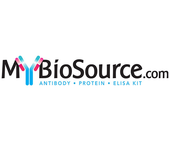 LMCD1 Antibody 0.05 mg