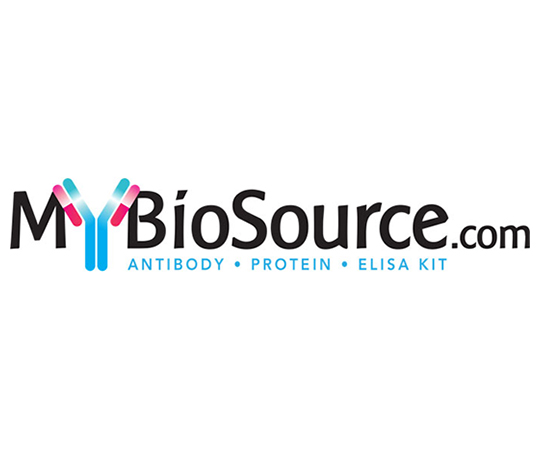 Human TATA box binding protein / TBP-associated factors (TAF) ELISA Kit 48-Strip-Wells MBS261081