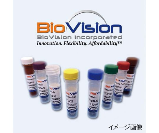 【冷凍】BioVision89-0089-24　二次抗体 Goat Anti-Mouse IgG （H＆L） Cy3　6900-250