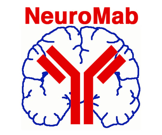 【冷凍】NeuroMab89-0117-41　一次抗体（NeuroMab） CASPR/ Neuroexin IV　75-001