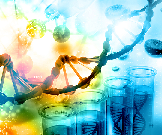 PrEST Antigen EME2, Prestige Antigens(TM) Powered by Atlas Antibodies, buffered aqueous solution APREST76088-100UL