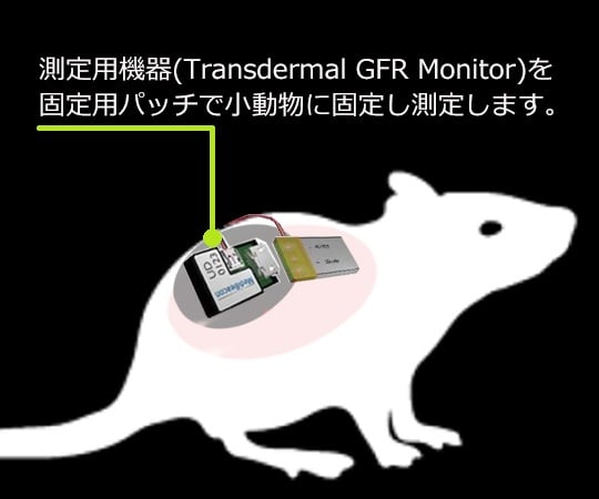 89-4933-18 マウス/ラット用腎機能蛍光検出器 専用パッチ（小サイズ 