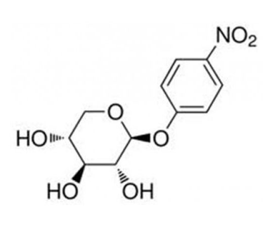 89-5243-92 4-Nitrophenyl-beta-D-xylopyranoside 10 G RC-473 アズワン 大得価格安