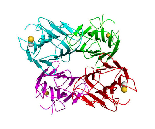 89-5247-74 Concanavalin A (Con A) Agarose, 10 columns 786-208