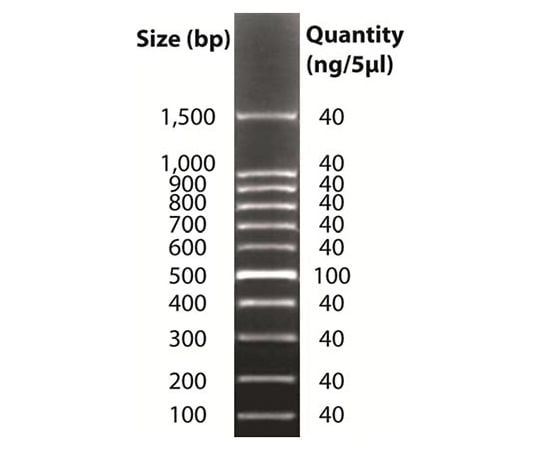 DNAラダーマーカー DNAmark™100bp 786-855
