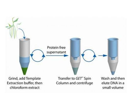 GET Plant DNA Template, 100 Preps 786-355