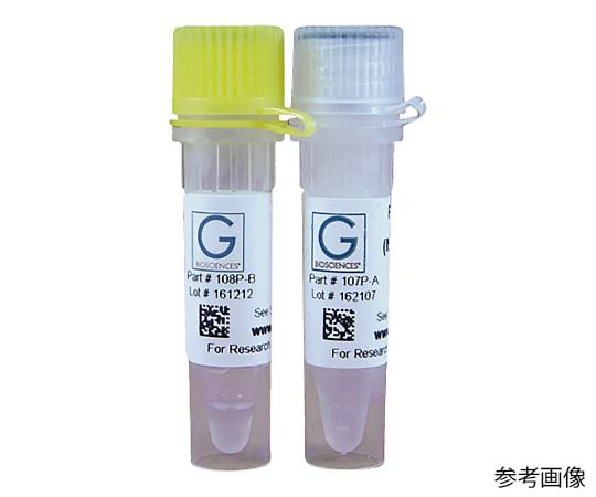 【冷凍】G-Biosciences89-5261-66　Taq PLUS DNAポリメラーゼ 2Xマスターミックスタイプ　786-851