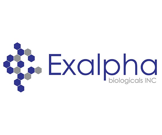 89-5635-07取扱停止Survivin NT TIAP Inhibitor of ApoptosisX1131P