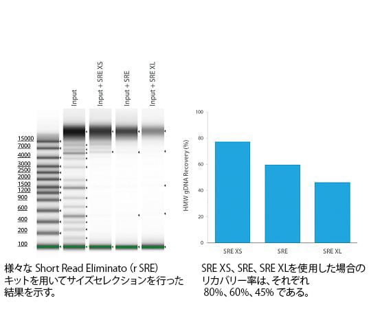 Circulomics89-6868-27　低分子DNA除去キット Short Read EliminatorKit/XS　SS-100-121-01