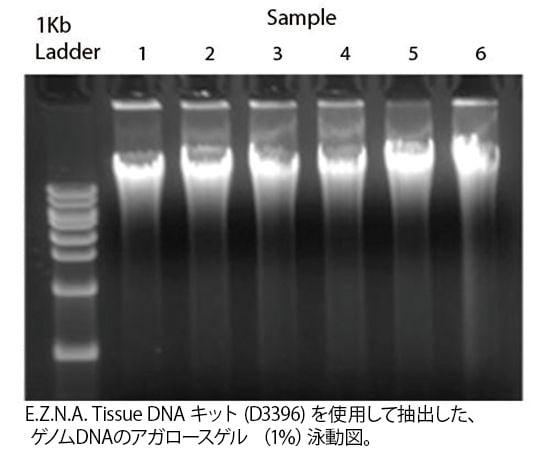 Omega　Bio-tek、　Inc.89-7384-32　E.Z.N.A.RゲノムDNA抽出キット（カラム式） Blood DNA Maxiキット　D2492-03