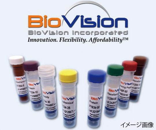 【冷凍】BioVision89-7414-08　DAPI　5mL　CAS　No.：28718-90-3 B1098-5