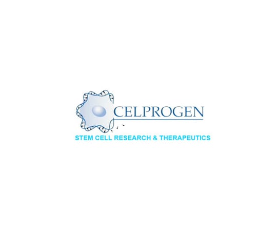 【冷凍】Celprogen89-7416-42　ヒト初代細胞 Human B Lymphocyte Primary Cell CμLture – Frozen Vial　33001-02