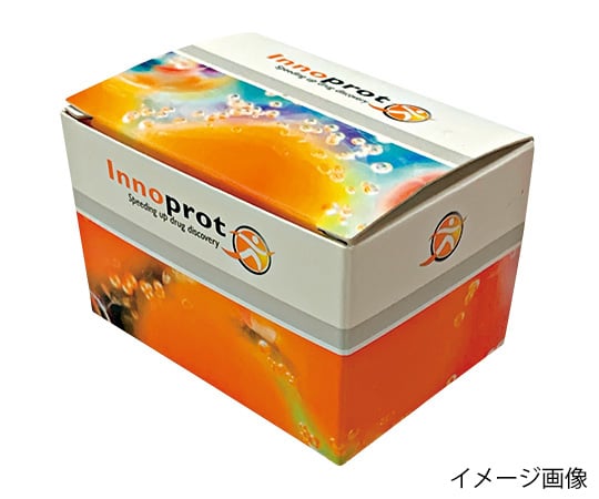 【冷凍】InnoProt89-7416-58　Primary　cells　detach　kit　1キット P60305