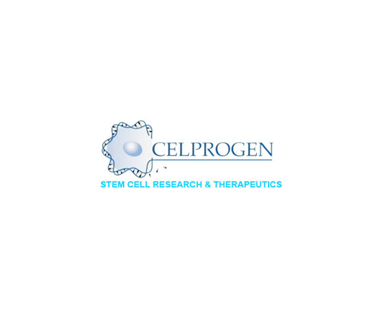 89-7709-77取扱停止Human Parental Prostate Cancer Stem Cell ECM 1vial E36103-30P